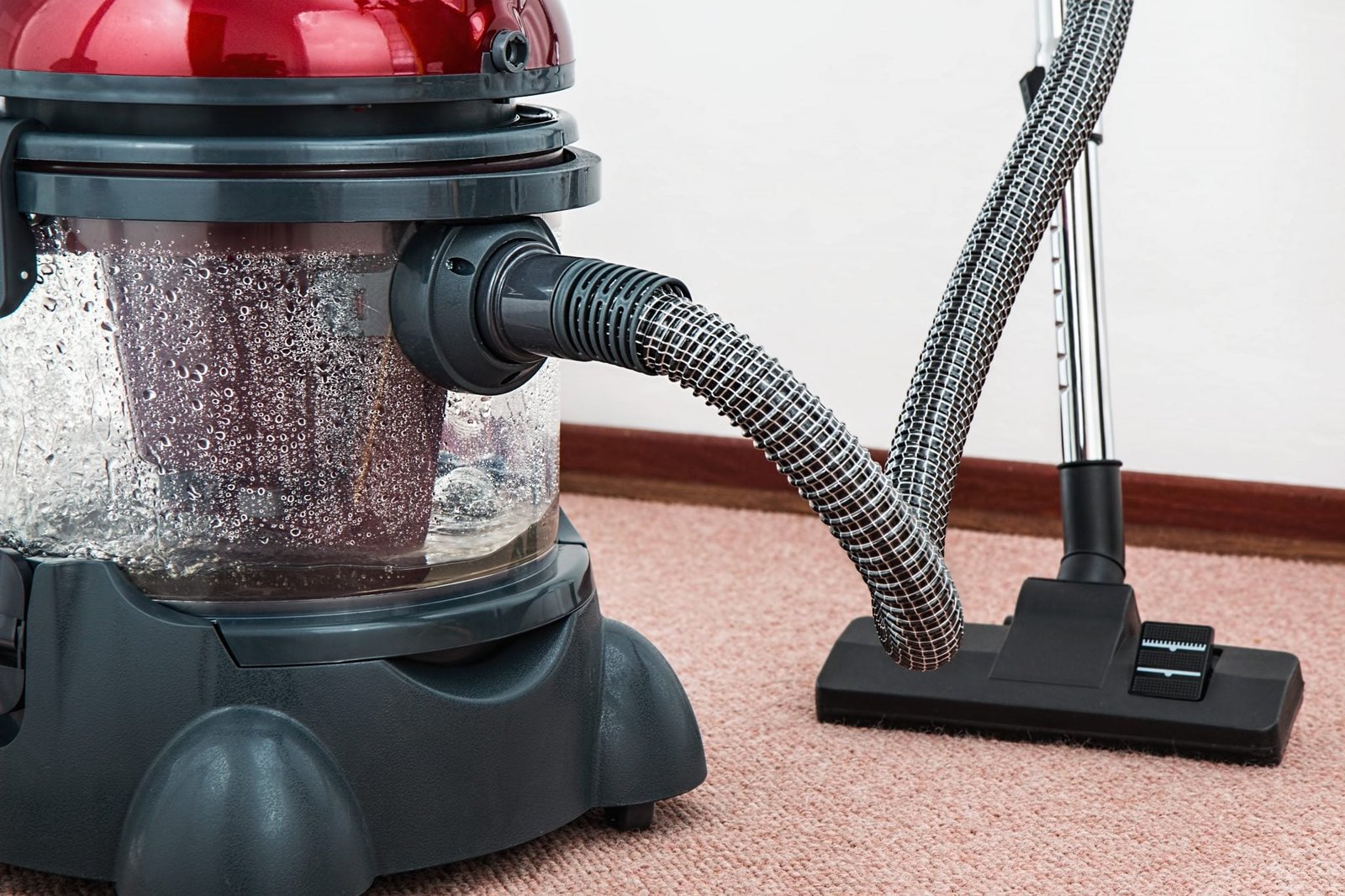 Bushby Carpet Cleaning
